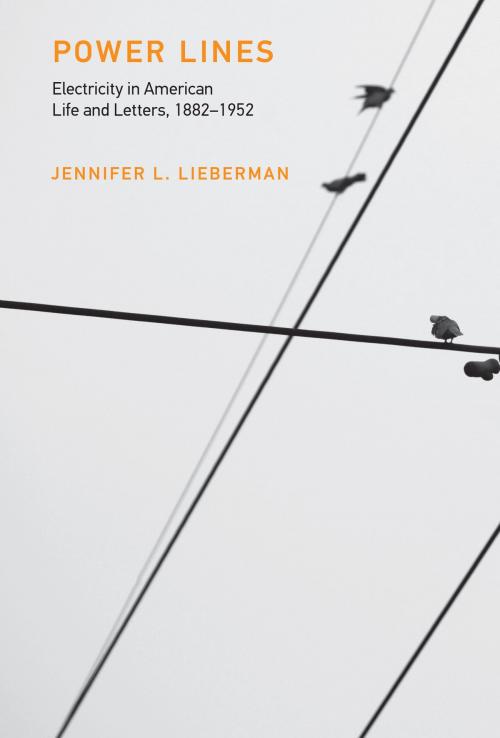 Cover of the book Power Lines by Jennifer L. Lieberman, The MIT Press