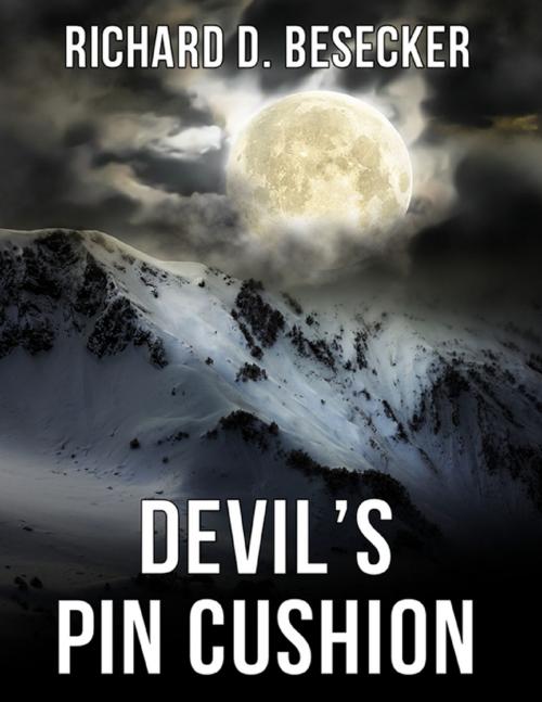 Cover of the book Devil's Pin Cushion by Richard D. Besecker, Devereux Publishing