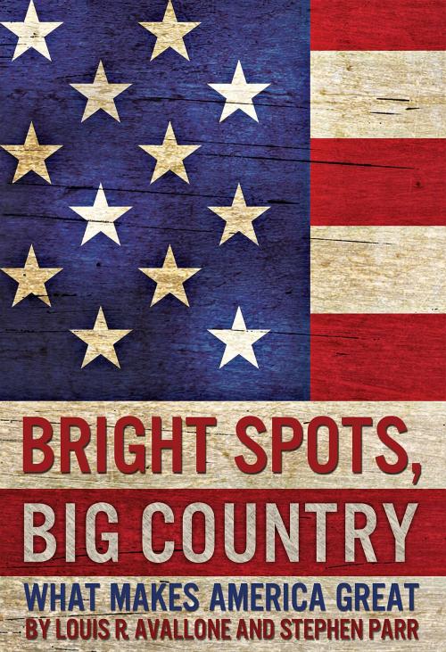 Cover of the book Bright Spots, Big Country by Louis R. Avallone, Stephen Parr, Conservative Ground