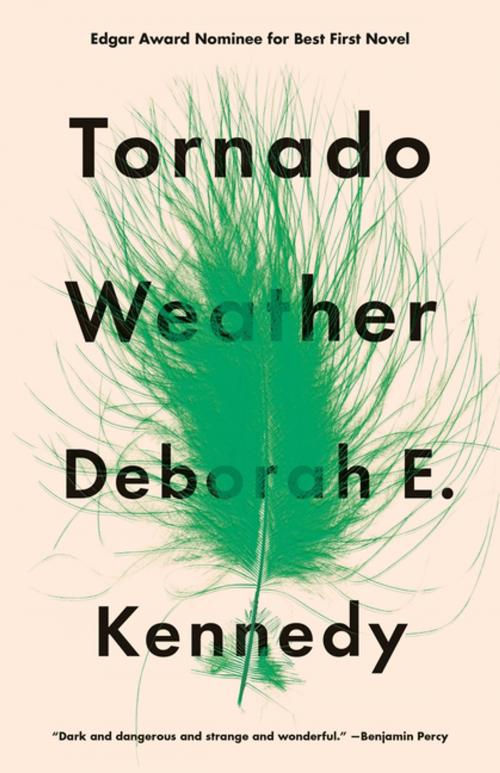 Cover of the book Tornado Weather by Deborah E. Kennedy, Flatiron Books