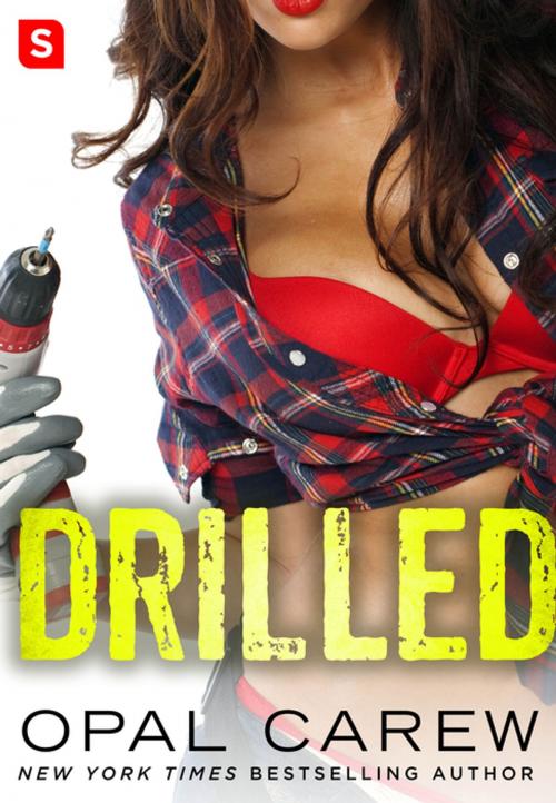 Cover of the book Drilled: A Novel by Opal Carew, St. Martin's Press