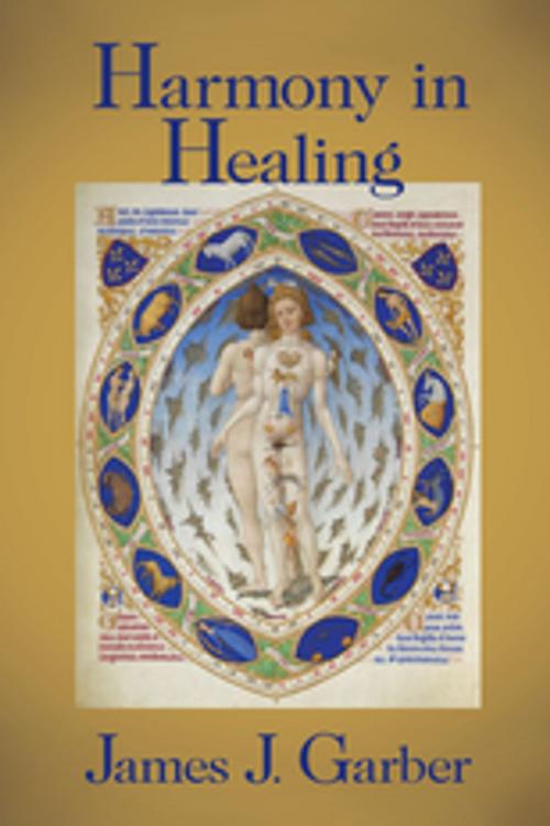 Cover of the book Harmony in Healing by James Garber, Taylor and Francis