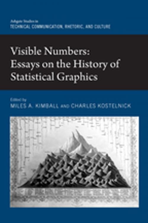 Cover of the book Visible Numbers by , Taylor and Francis