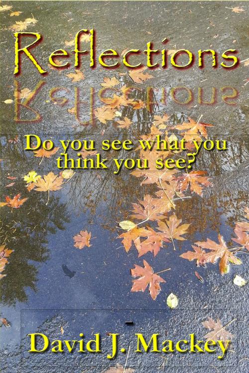 Cover of the book Reflections: Do you see what you think you see? by David J. Mackey, David J. Mackey