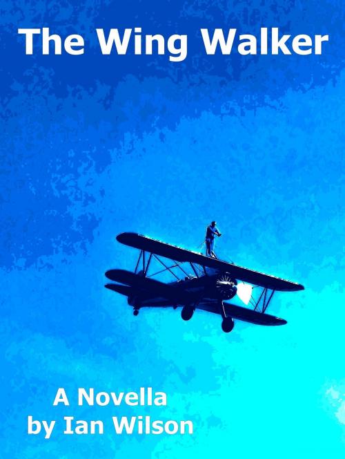 Cover of the book The Wing Walker by Ian Wilson, Ian Wilson