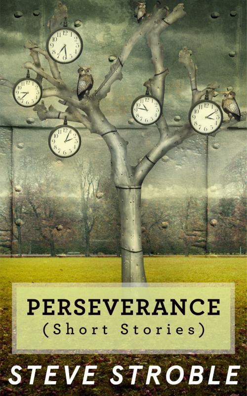 Cover of the book Peseverance (Short Stories) by Steve Stroble, Steve Stroble
