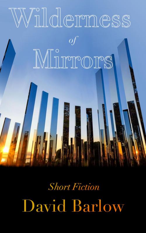 Cover of the book Wilderness of Mirrors by David Barlow, David Barlow