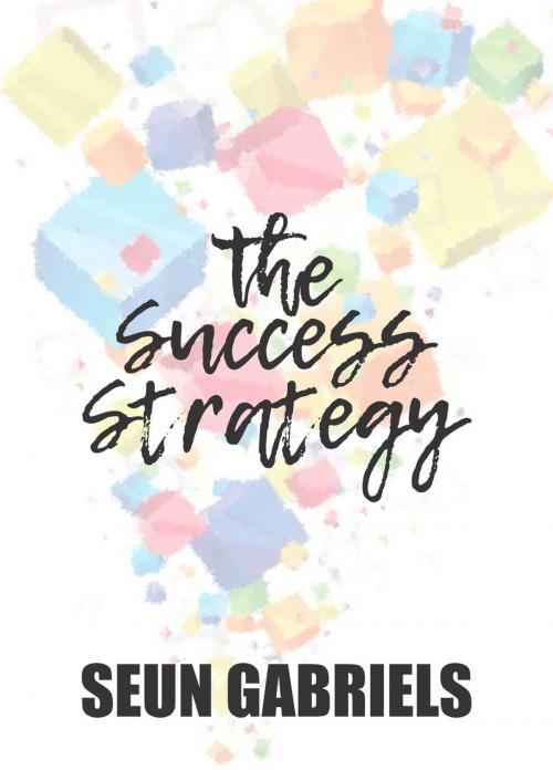 Cover of the book The Success Strategy by SGabriels, SGabriels