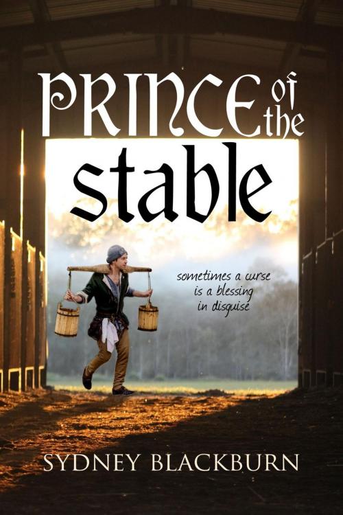Cover of the book Prince of the Stable by Sydney Blackburn, Half Past Three Publishing