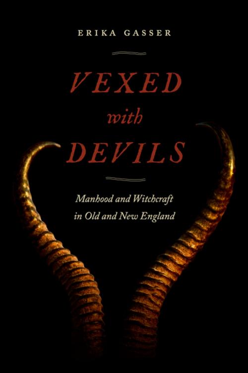 Cover of the book Vexed with Devils by Erika Gasser, NYU Press