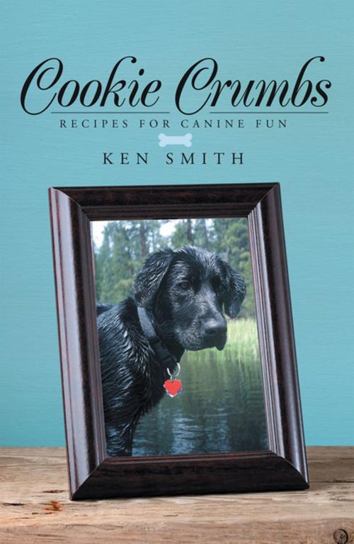 Cover of the book Cookie Crumbs by Ken Smith, LifeRich Publishing
