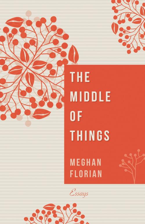 Cover of the book The Middle of Things by Meghan Florian, Wipf and Stock Publishers