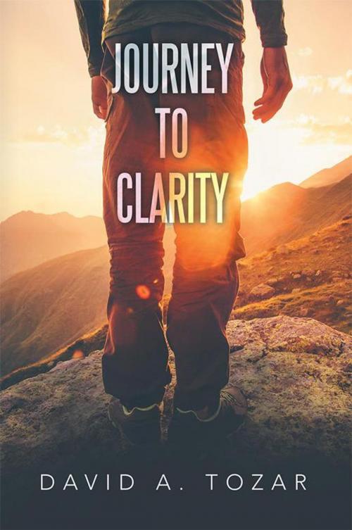 Cover of the book Journey to Clarity by David A. Tozar, Xlibris US