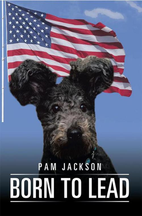 Cover of the book Born to Lead by Pam Jackson, Xlibris US