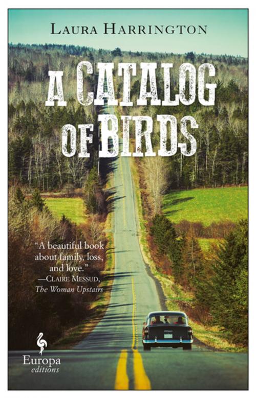 Cover of the book A Catalog of Birds by Laura Harrington, Europa Editions