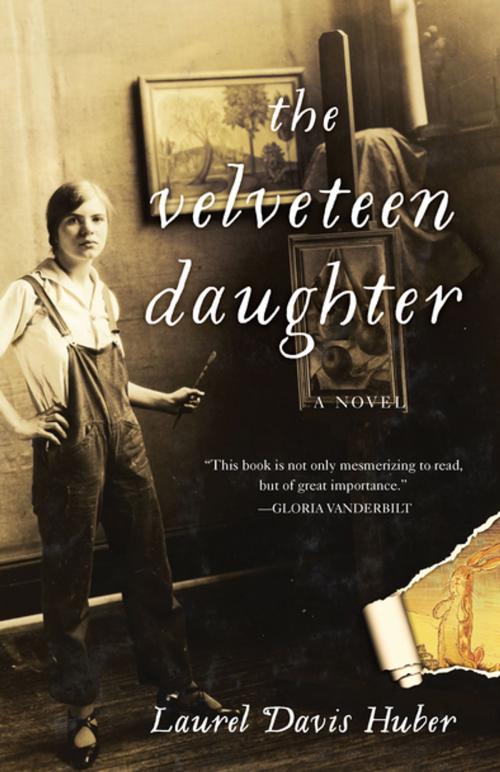 Cover of the book The Velveteen Daughter by Laurel Davis Huber, She Writes Press