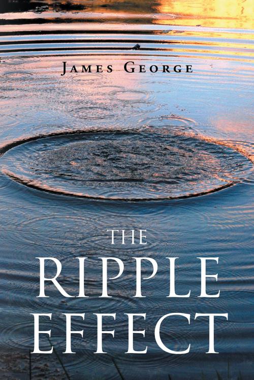 Cover of the book The Ripple Effect by James George, Page Publishing, Inc.