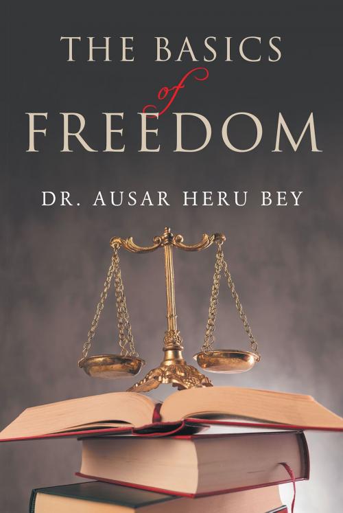 Cover of the book The Basics of Freedom by Dr. Ausar Heru Bey, Page Publishing, Inc.