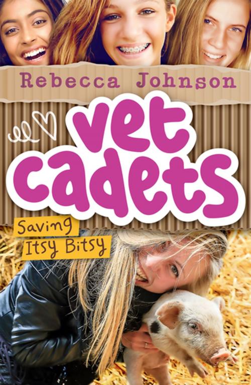 Cover of the book Vet Cadets: Saving Itsy Bitsy (BK3) by Rebecca Johnson, Penguin Random House Australia