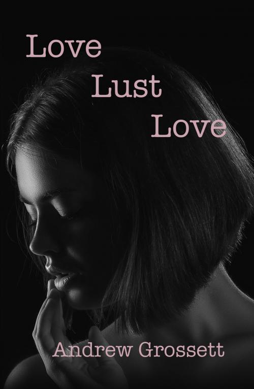 Cover of the book Love, Lust, Love by Andrew Grossett, Austin Macauley