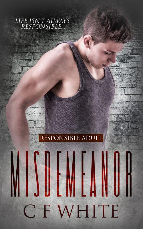 Cover of the book Misdemeanor by C F White, Totally Entwined Group Ltd