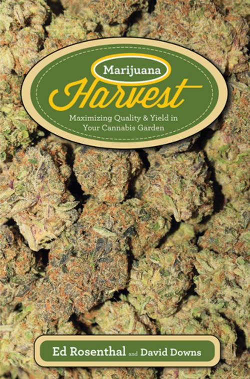 Cover of the book Marijuana Harvest by Ed Rosenthal, Quick Trading Company