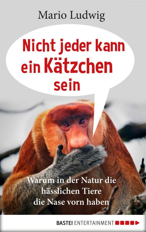 Cover of the book Nicht jeder kann ein Kätzchen sein by Mario Ludwig, Bastei Entertainment