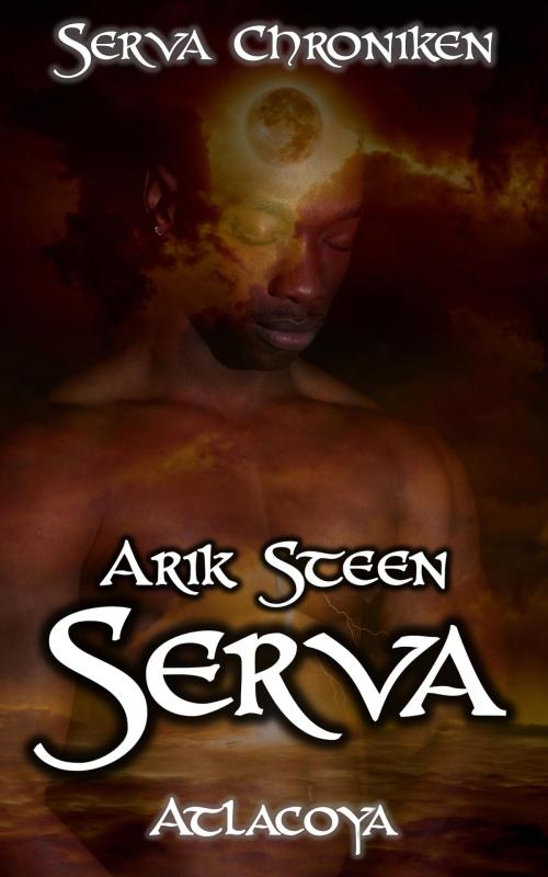 Cover of the book Serva Chroniken I by Arik Steen, neobooks