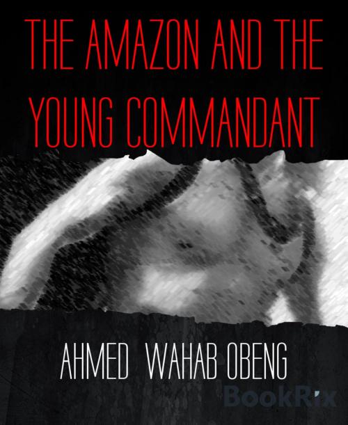 Cover of the book THE AMAZON AND THE YOUNG COMMANDANT by AHMED WAHAB OBENG, BookRix