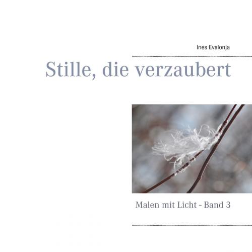 Cover of the book Stille, die verzaubert by Ines Evalonja, Books on Demand