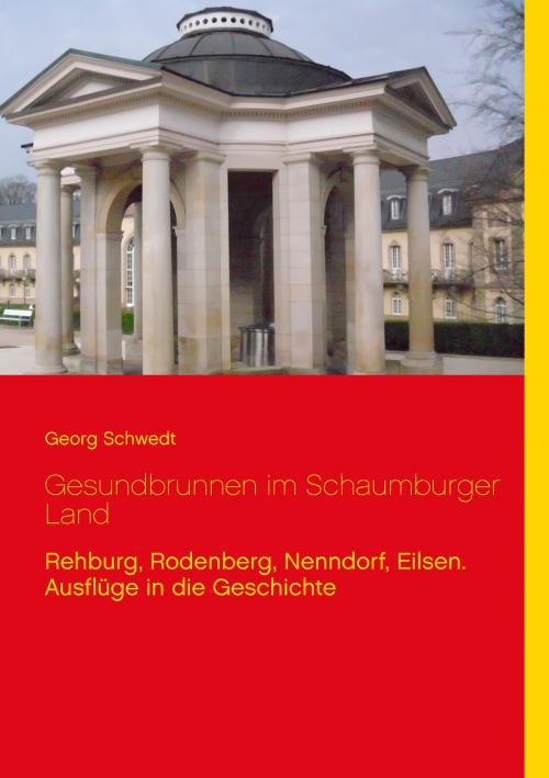 Cover of the book Gesundbrunnen im Schaumburger Land by Georg Schwedt, Books on Demand