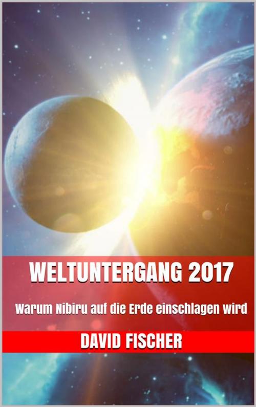Cover of the book Weltuntergang 2017 by David Fischer, Markus Mann