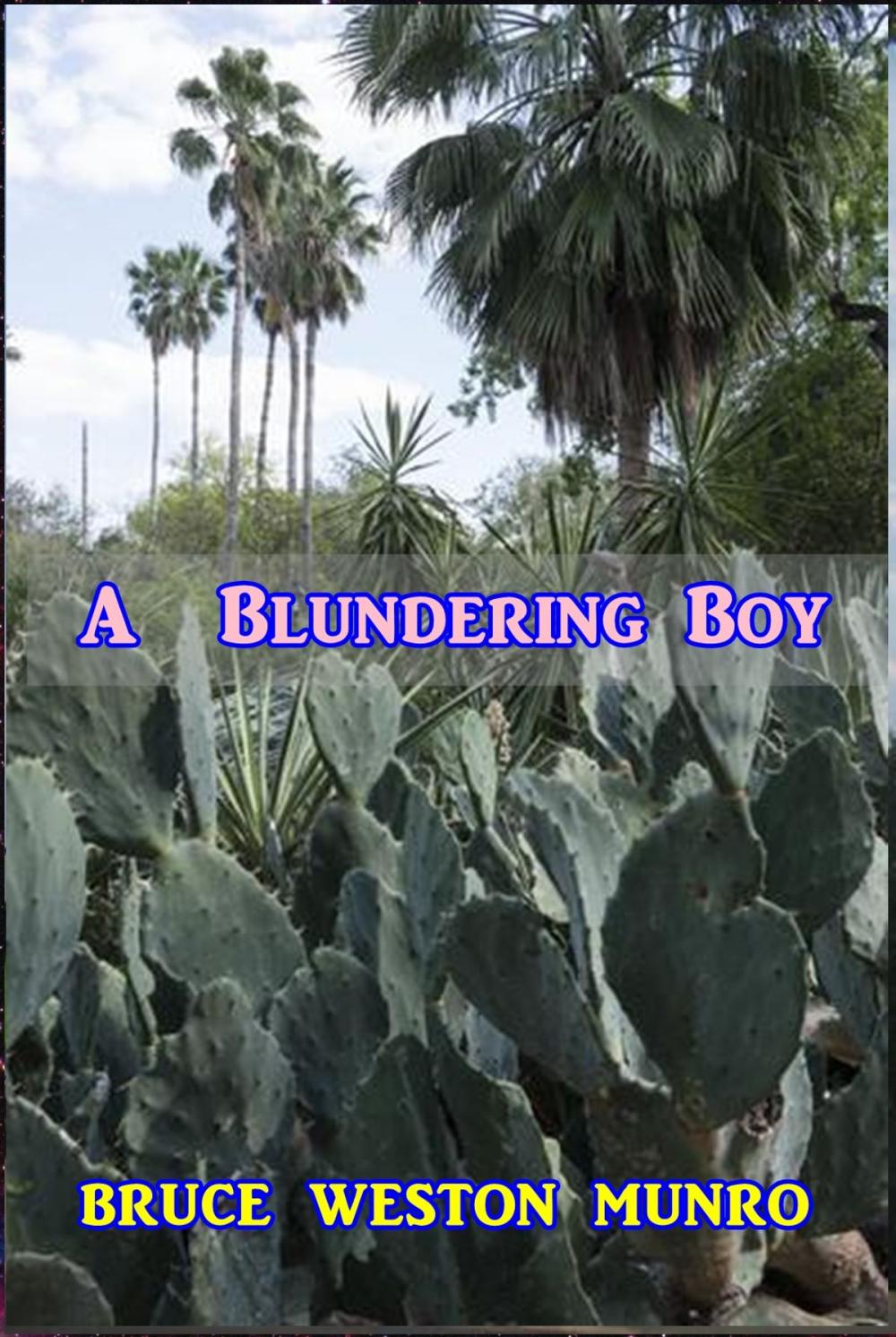 Big bigCover of A Blundering Boy