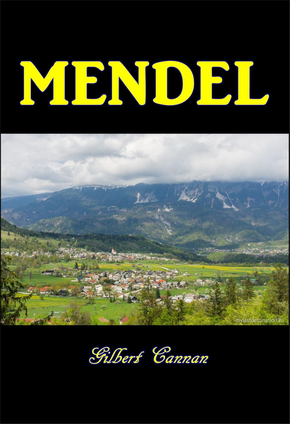 Big bigCover of Mendel