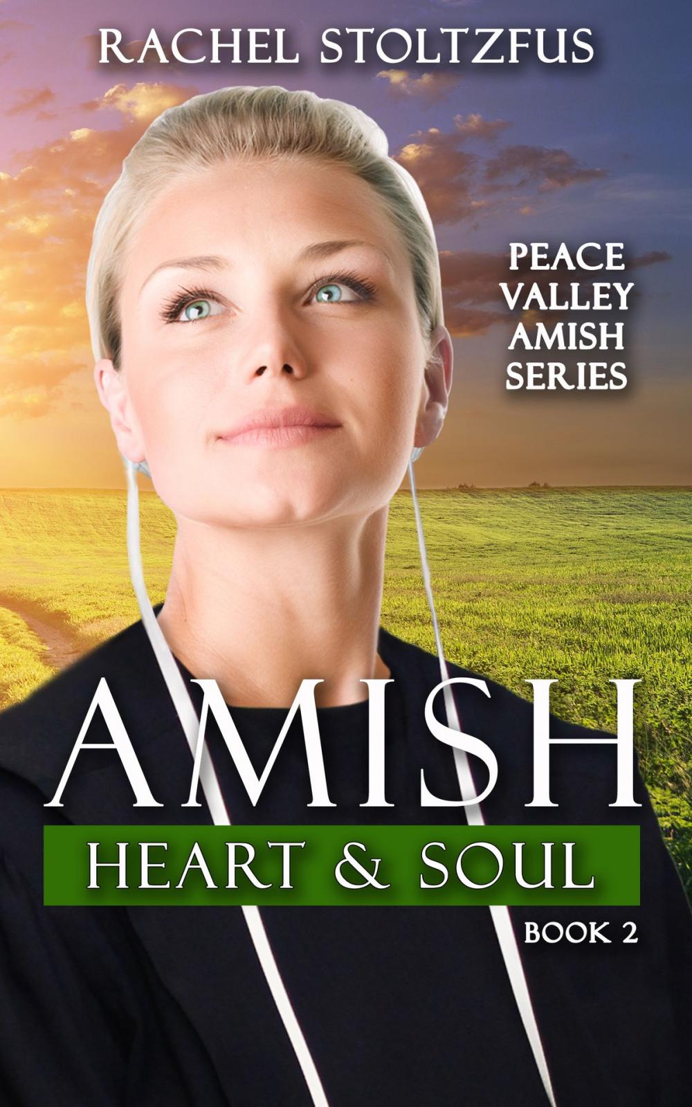 Big bigCover of Amish Heart and Soul