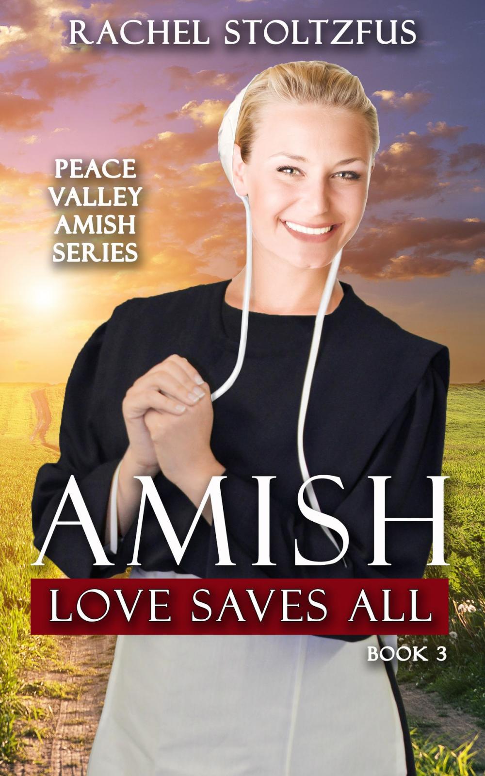 Big bigCover of Amish Love Saves All