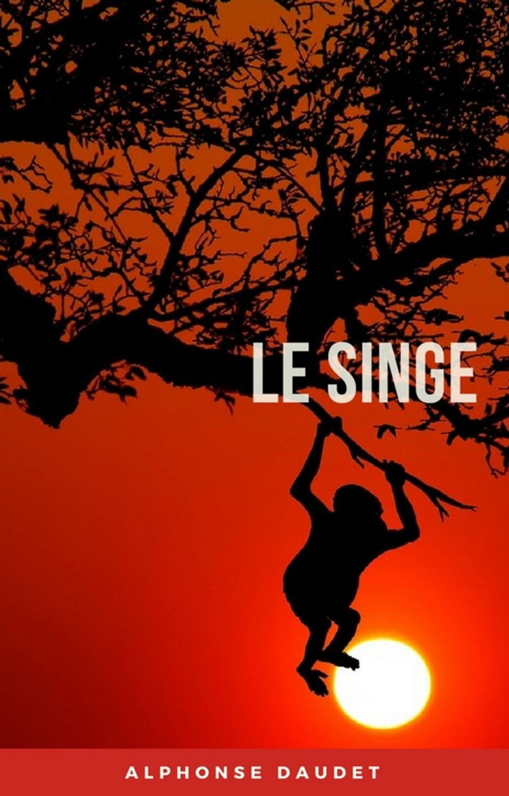 Big bigCover of Le singe