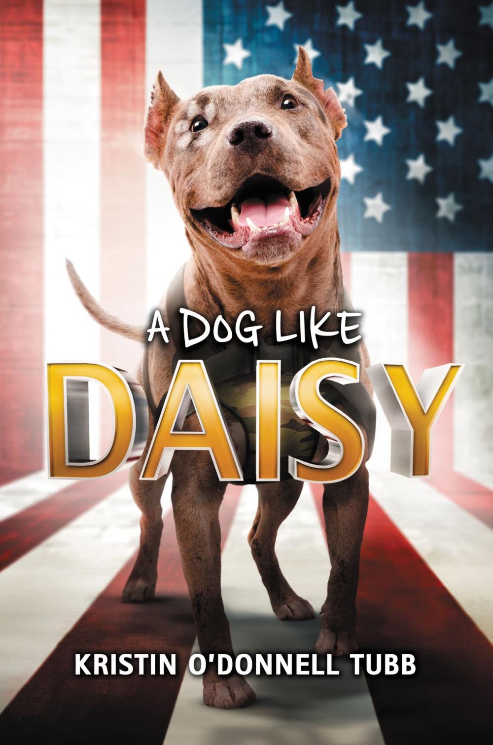 Big bigCover of A Dog Like Daisy