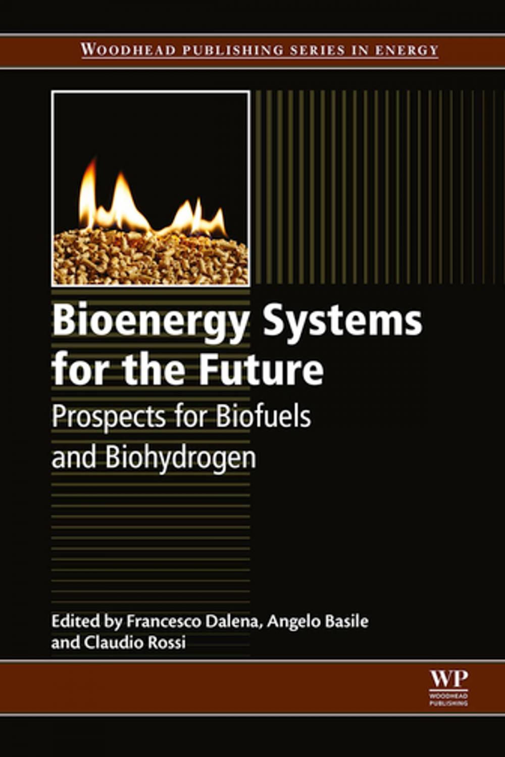 Big bigCover of Bioenergy Systems for the Future