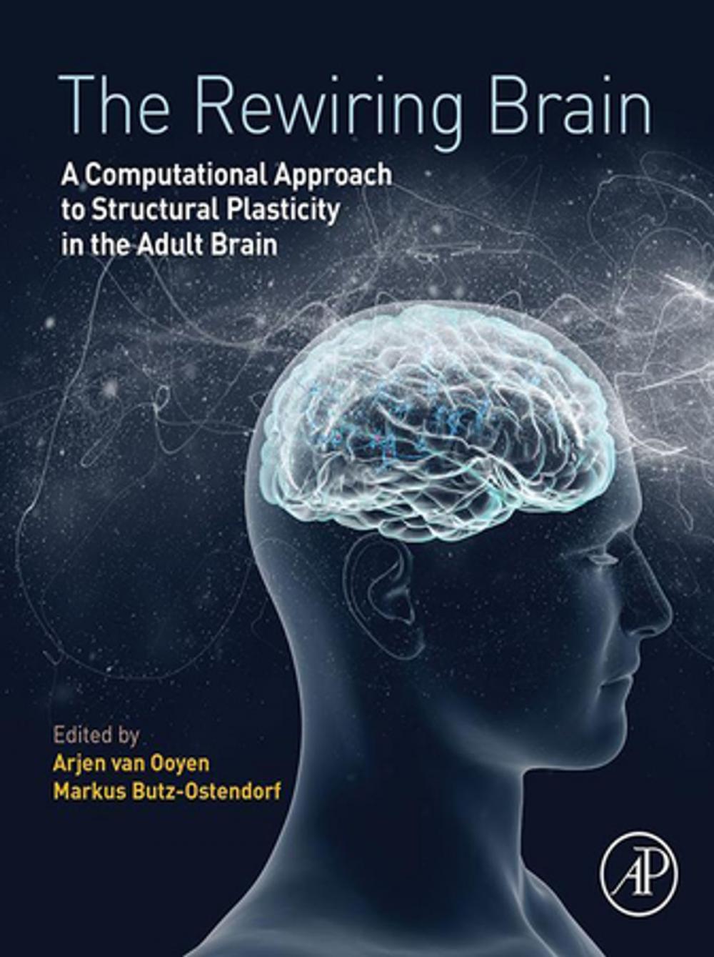 Big bigCover of The Rewiring Brain