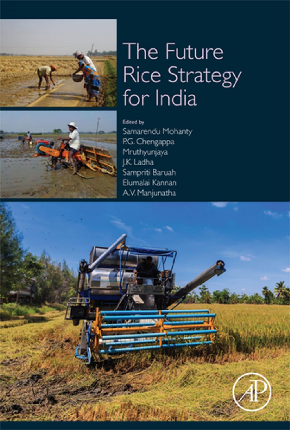 Big bigCover of The Future Rice Strategy for India