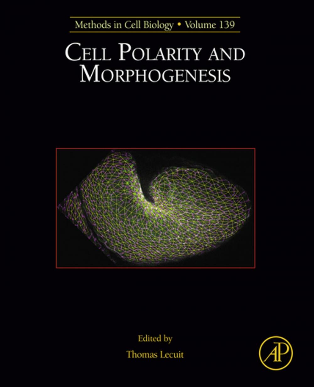 Big bigCover of Cell Polarity and Morphogenesis