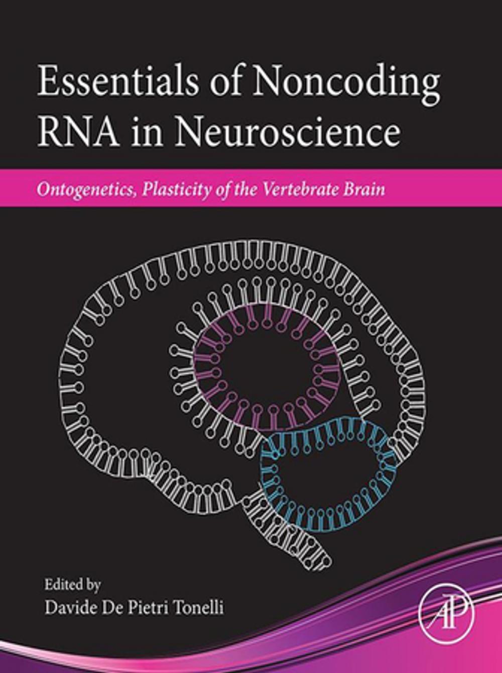 Big bigCover of Essentials of Noncoding RNA in Neuroscience