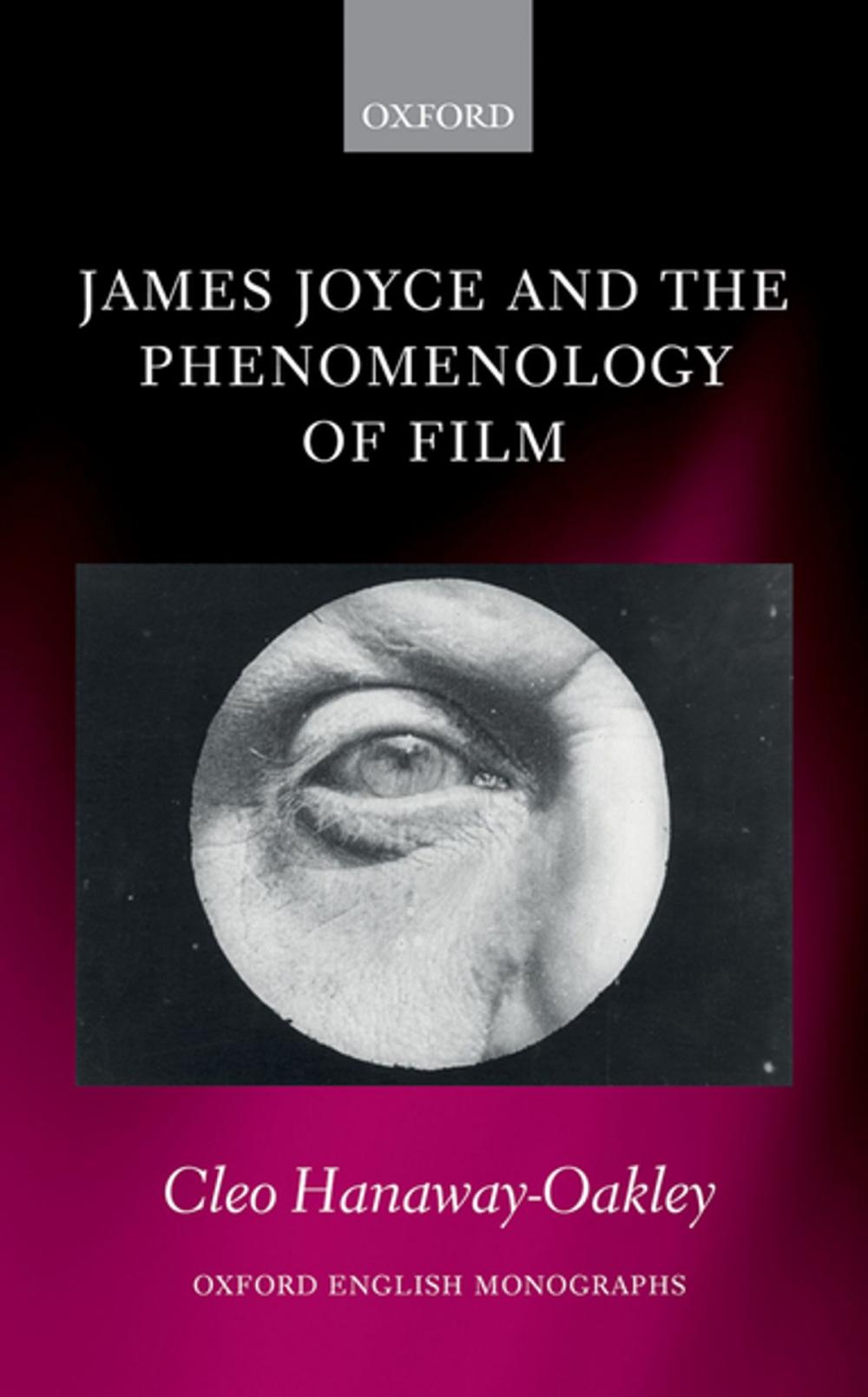 Big bigCover of James Joyce and the Phenomenology of Film