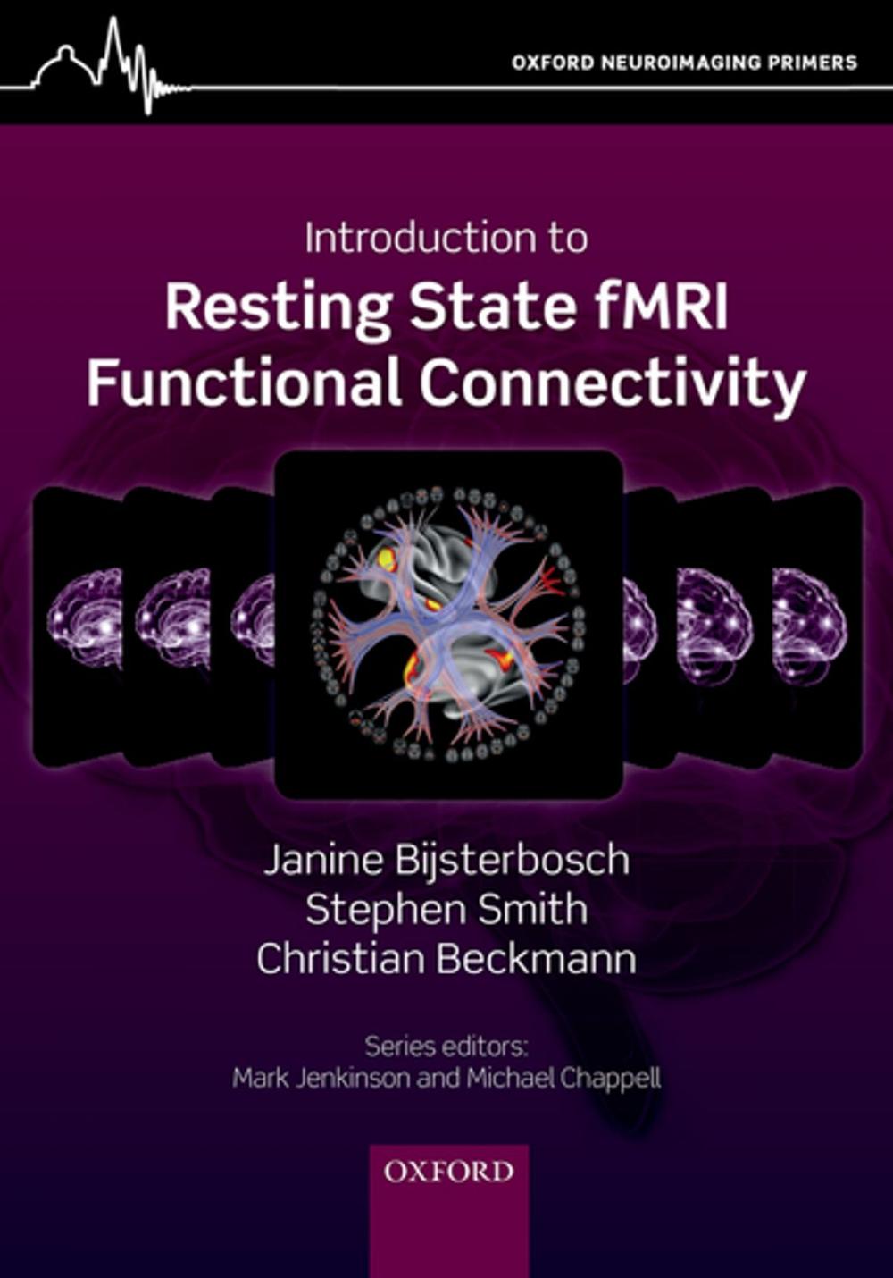 Big bigCover of An Introduction to Resting State fMRI Functional Connectivity