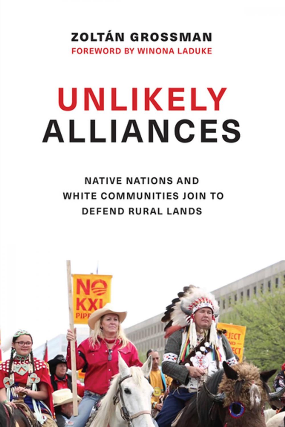 Big bigCover of Unlikely Alliances