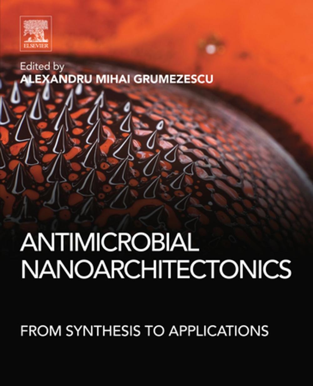 Big bigCover of Antimicrobial Nanoarchitectonics