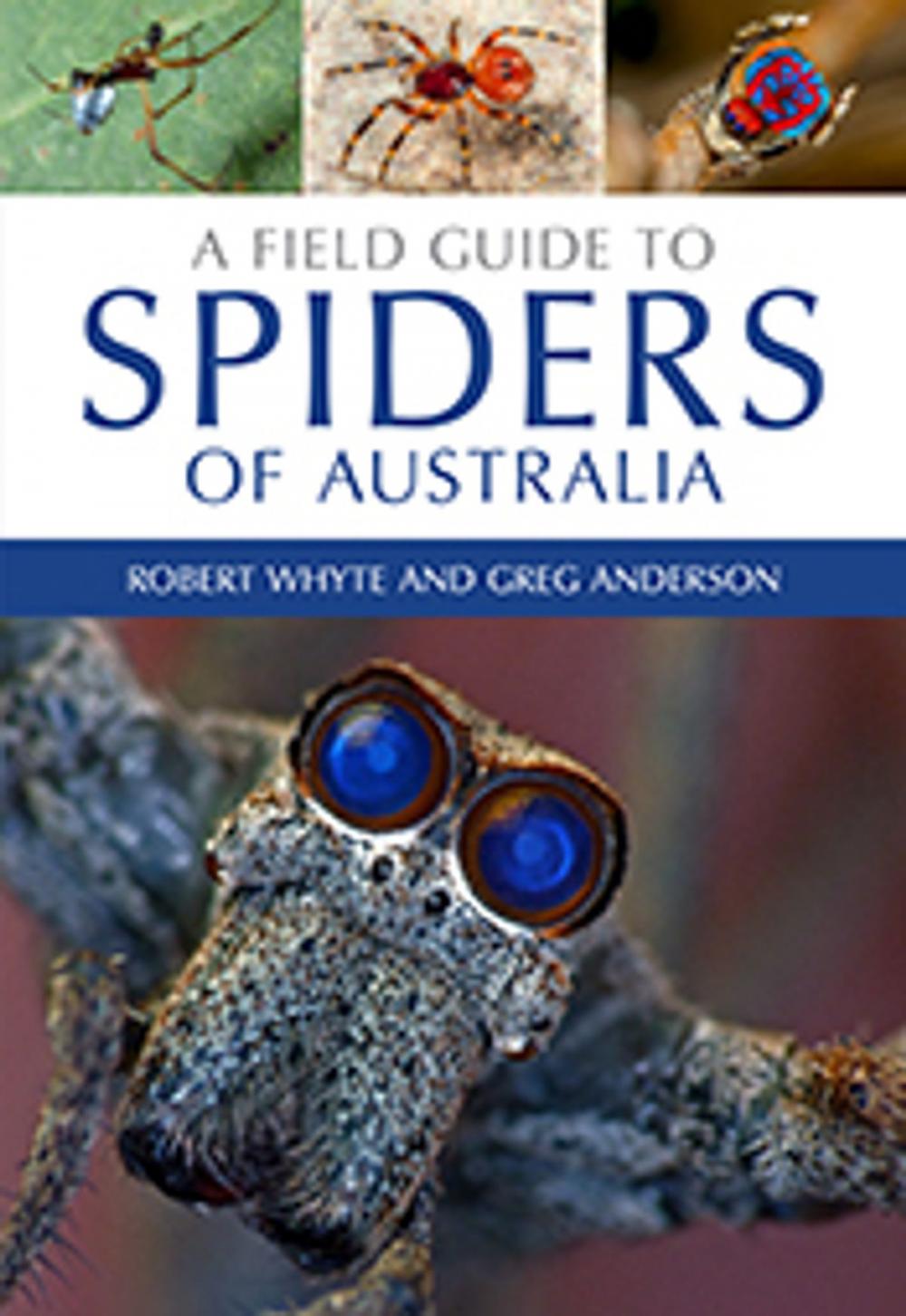 Big bigCover of A Field Guide to Spiders of Australia