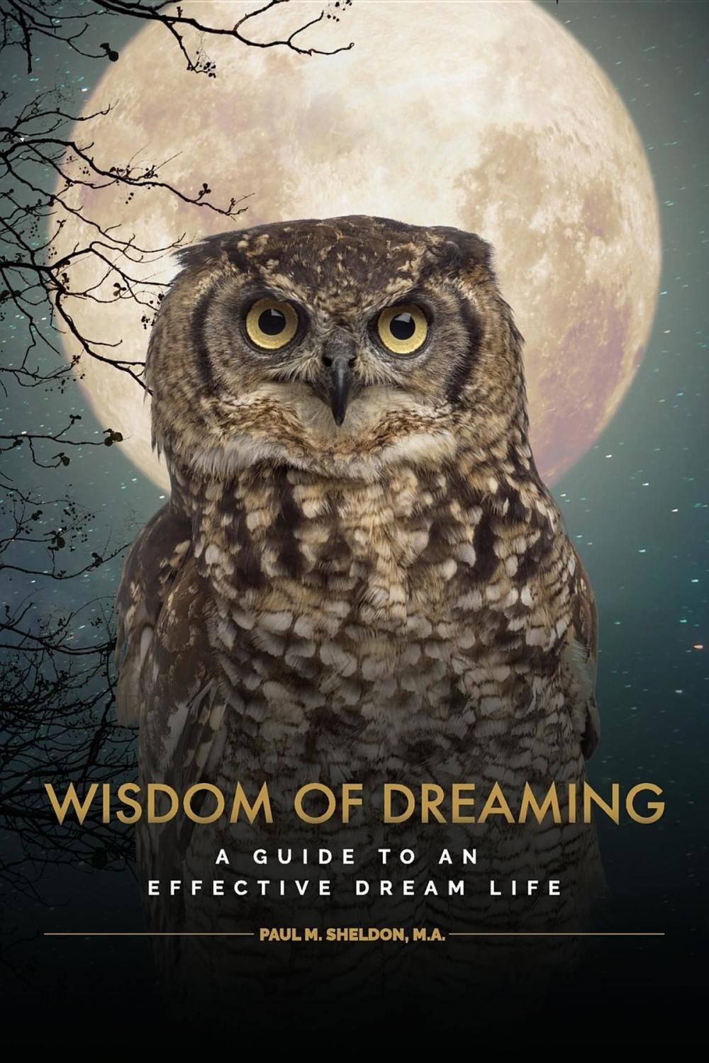 Big bigCover of Wisdom of Dreaming