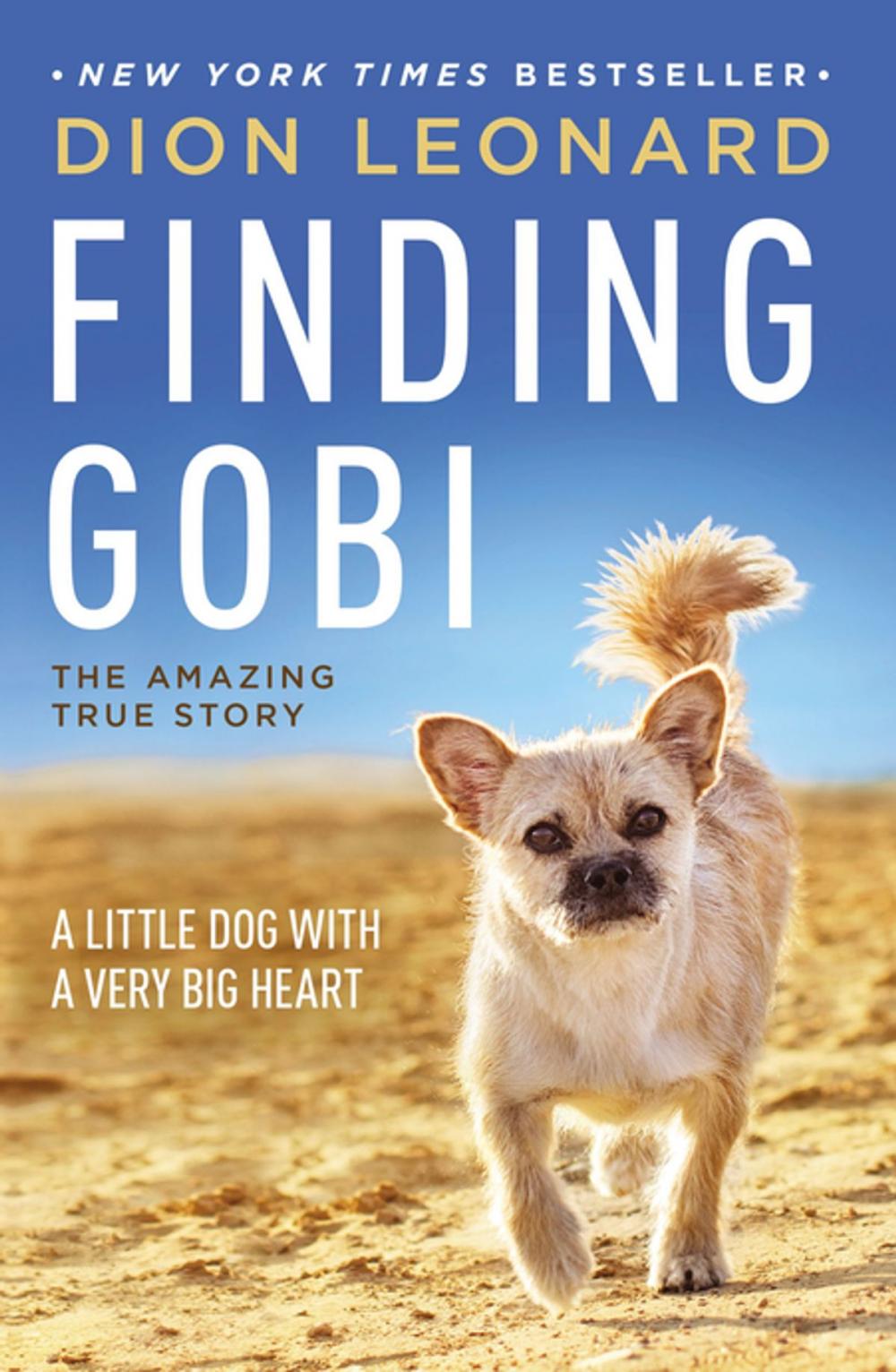 Big bigCover of Finding Gobi